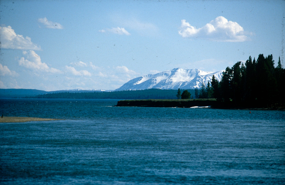 Near Fishing Bridge, Yellowstone NP