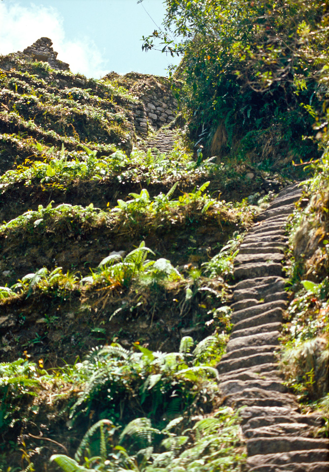Stairway to Huayna Picchu, Machu Picchu, Peru