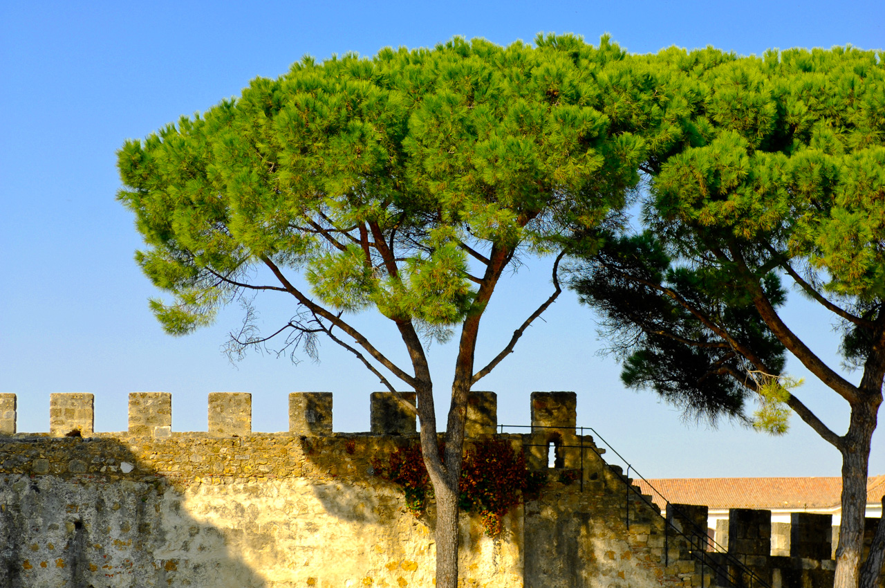 Castelo de S. Jorge