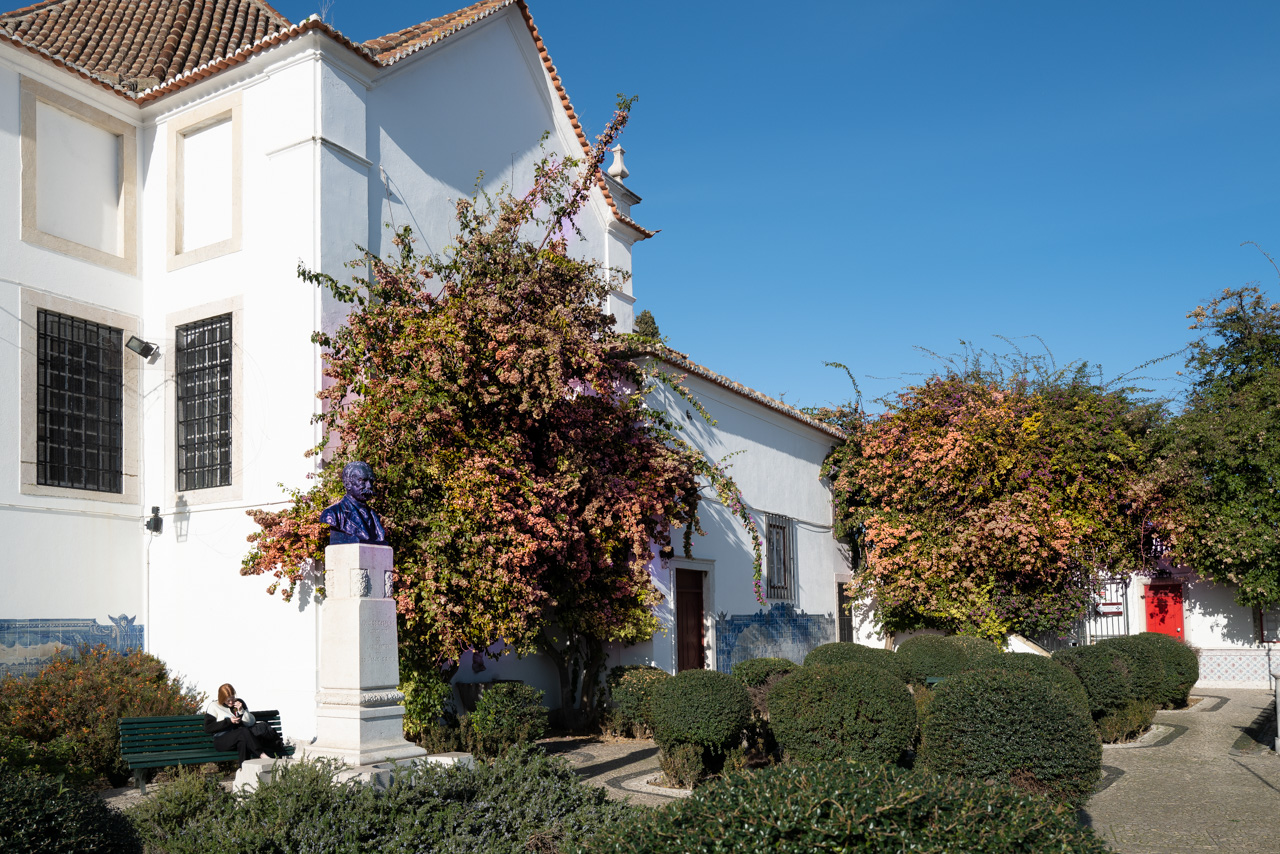 Miradouro de Santa Luzia