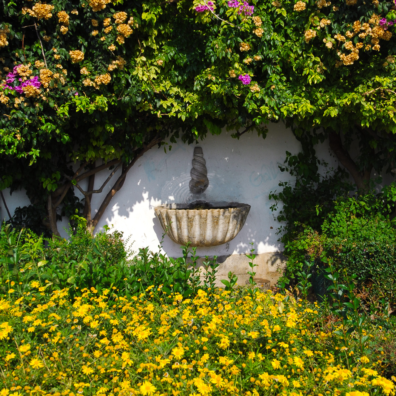 Miradouro De Santa Luzia‎