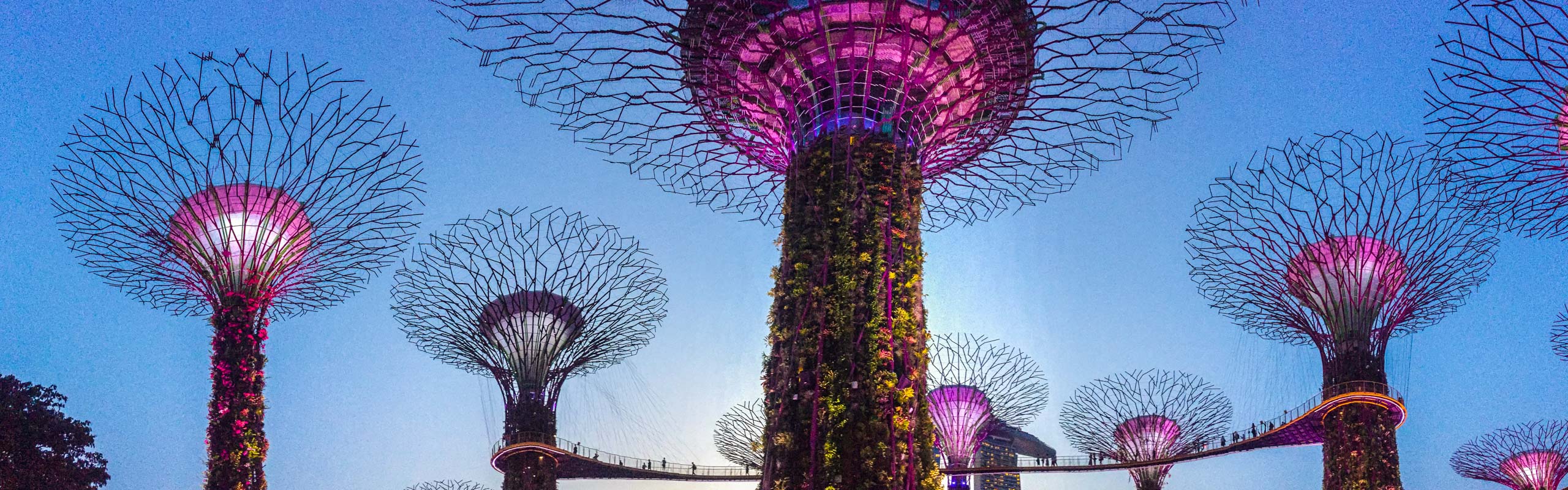 Supertree Grove, Singapore